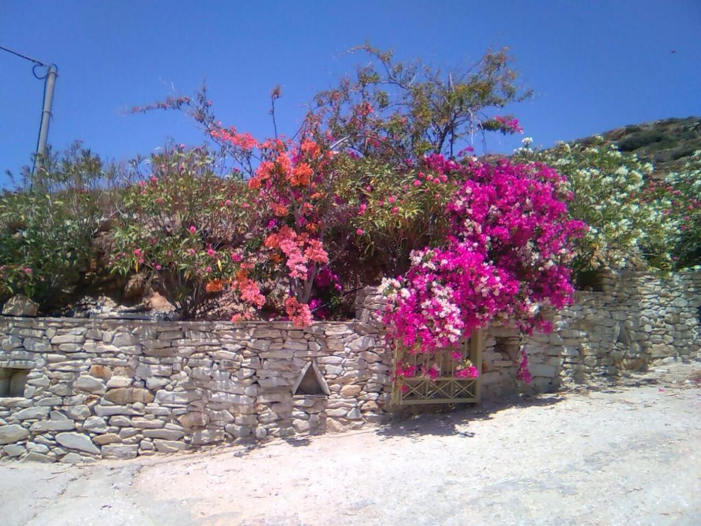 Eva Villa Mylopotas Exterior foto